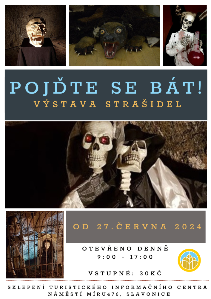 straidla-vstava